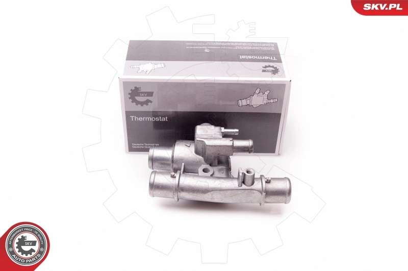 Thermostat, coolant